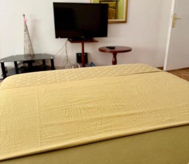 Downtown Apartment | Center Oasis Retreat