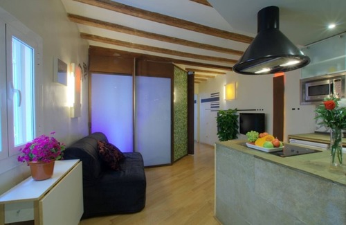 Esquerra de l'Eixample Apartment | Central apartment 5 min.Ramblas next to the Mercat Sant Antoni.well communi