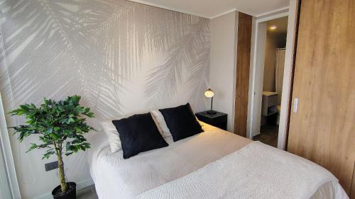 Nunoa Apartment | Central Apartment in Ñuñoa