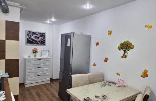 Petrosani Apartment | Central Apartment