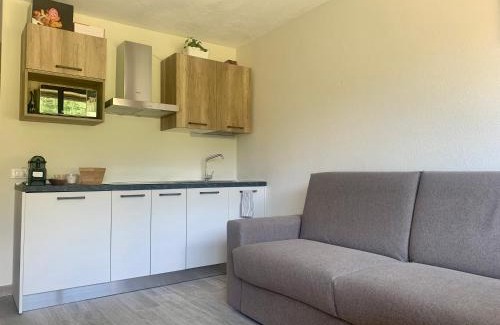 Cervinia Apartment | Cervinia Ski In Ski Out - Studio with Terrace