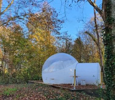 Montaulin Bed & Breakfast | Château de Montabert