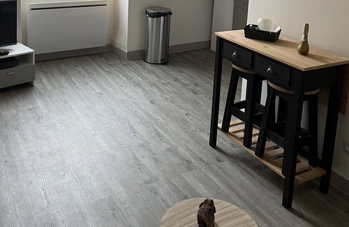 Chablis Apartment | Chablis: studio in the city center