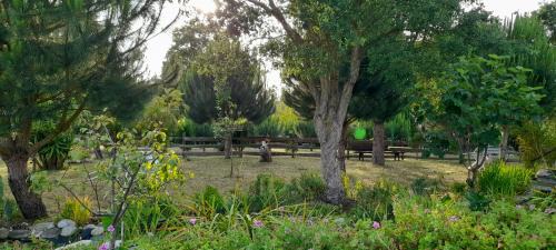 Coimbrao Ski Chalet | Chale dos Sobreiros