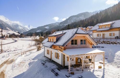Donnersbachwald Ski Chalet | Chalet Amsel