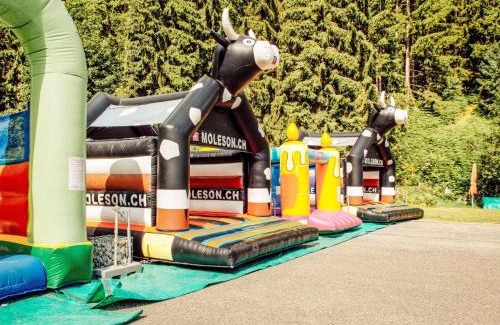 Moleson Ski Chalet | Chalet Chalet 969 by Interhome