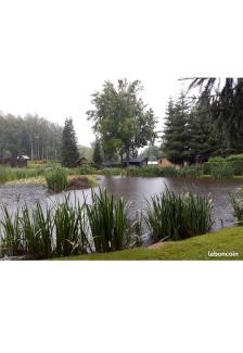 Hargnies Ski Chalet | Chalet de L'étang