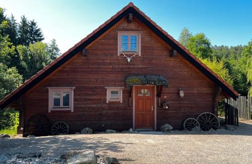 Erckartswiller Ski Chalet | Chalet de Lucie et Lison