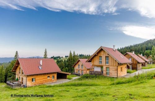 Frantschach-Sankt Gertraud House | Chalet in Alps with Private Sauna