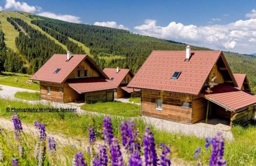 Frantschach-Sankt Gertraud House | Chalet in Alps with Private Sauna