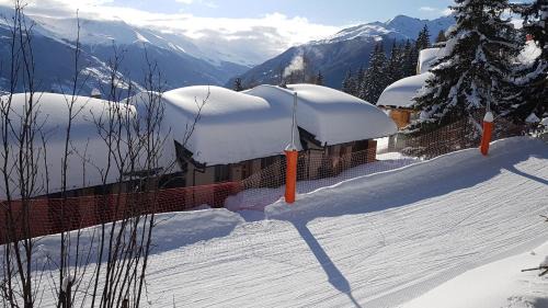 Vex Ski Chalet | "Chalet le Dahlia - 4 Vallees"