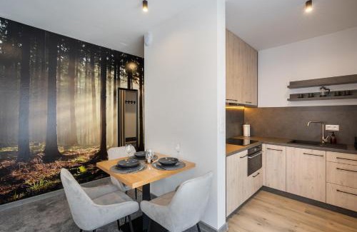 Ruzomberok Apartment | Chalet Pod Brdom - Apartments