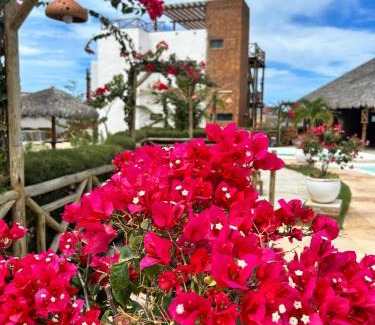 Cajueiro da Praia Apartment | Chaleville barrinha