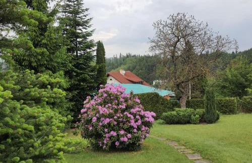 Nachod House | Chaloupka u Náchoda pro rodiny s dětmi