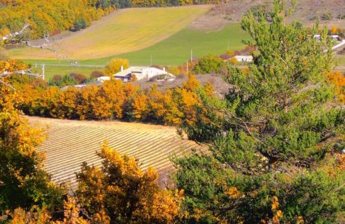 Banon House | Chambre d'hôte dans ferme provençale