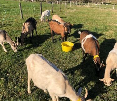 Montesquieu-Avantes House | Chambre familiale à la ferme