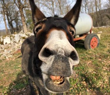 Montesquieu-Avantes House | Chambre familiale à la ferme