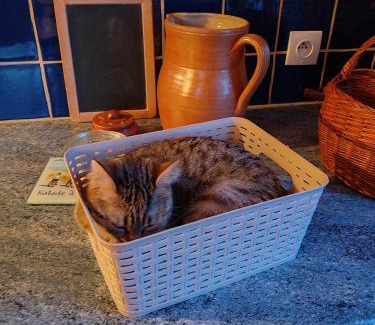 Saint-Martin-de-Gurson House | Chambres d' Hôtes des Glands ' heures