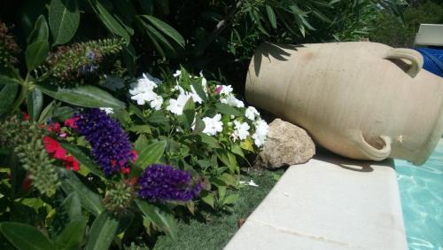 Sospel House | Chambres d'hôtes Les Iris