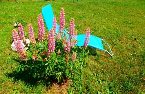 Usclades-et-Rieutord Bed & Breakfast | Chambres d'Hôtes à Rieutord