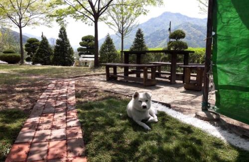 Jecheon House | Chamjoeun Pension