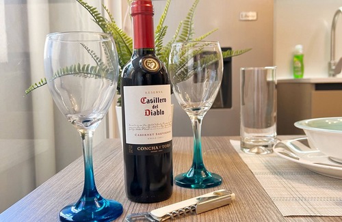 Downtown Santiago Apartment | Charm, comfort, and culture in downtown Santiago