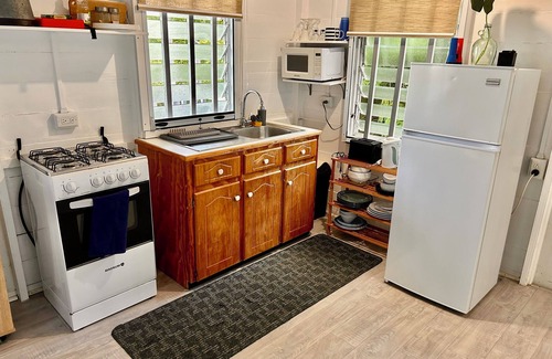Springfield House | Charming 2-bedroom house in delightful Saint Joseph with AC bedrooms only