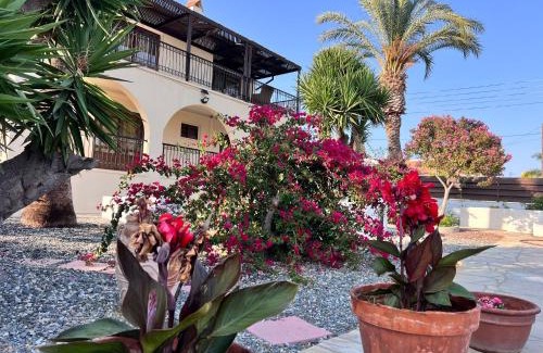 Erimi Villa | Charming Erimi Villa with Private Pool and Garden View