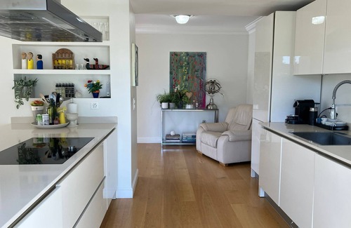 Coppet House | Charming french style Villa,between Geneve To Nyon,next to international schools