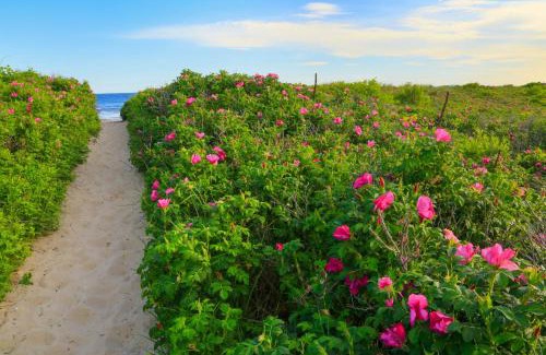 Kennebunk House | Charming Jacuzzi-Suite - Walk to Parsons Beach!
