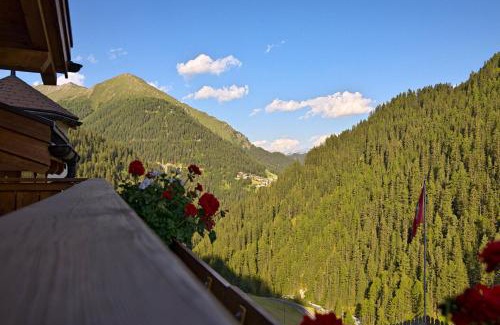 Ravaisch Apartment | Chasa Vallaina