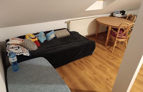 Iłowa House | Chata łabedzia