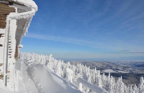 Horni Lipova Hotel | Chata Jiriho na Seraku