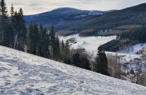 Stronie Slaskie Ski Chalet | Chata Lisa