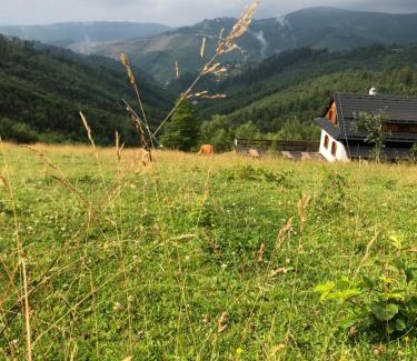 Oscadnica Ski Chalet | Chata Marguška - U Fera