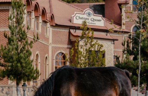 Qusar Hotel | Chateau Qusar