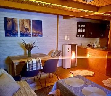 Zloty Stok Ski Chalet | Chatka nad Stawami