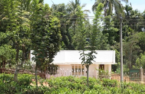 Ella Villa | Cheerful 2 bed room with free parking and staying