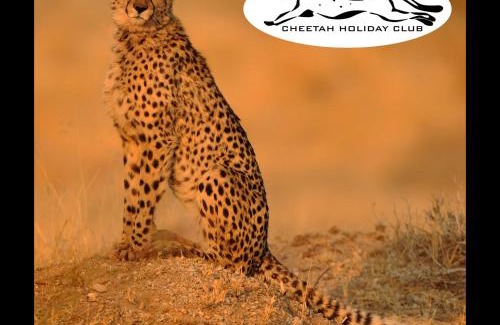 Vizovice House | Cheetah Holiday Club