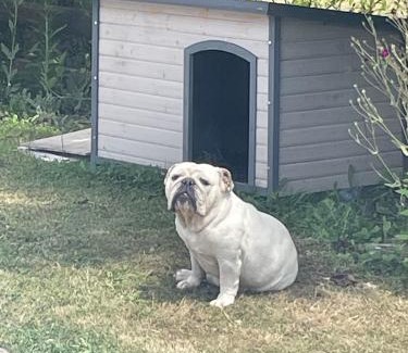 Laguian-Mazous House | Chez Isa et Geo