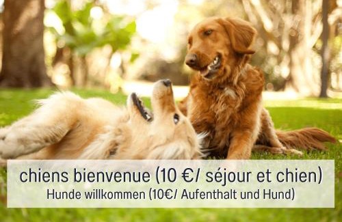 La Chapelle-devant-Bruyeres Apartment | Chez Louna - Grand Gîte