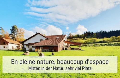 La Chapelle-devant-Bruyeres Apartment | Chez Louna - Grand Gîte