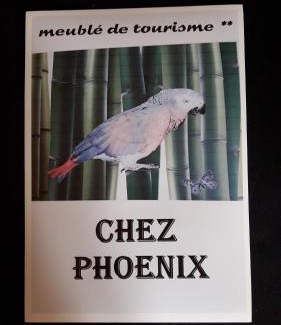 Nieuil House | chezphoenixette