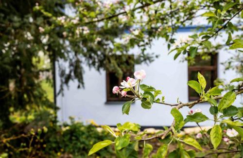 Hluboka Apartment | Chlum 5