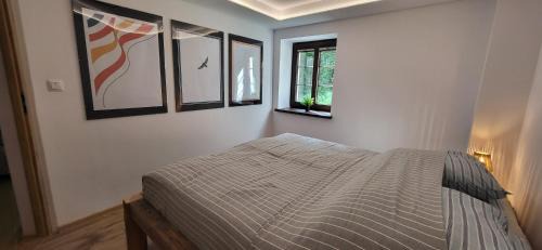 Biskupiec Apartment | Ciechówka apartamenty Wilimy