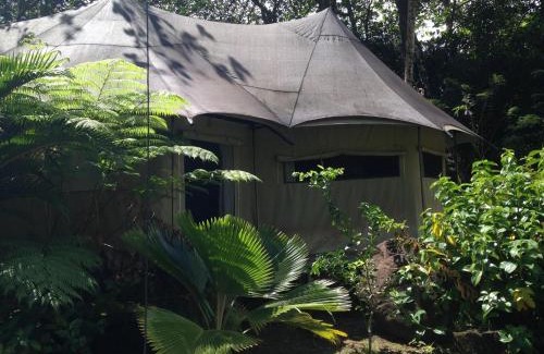 La Plaine Cabin | Citrus Creek Plantation