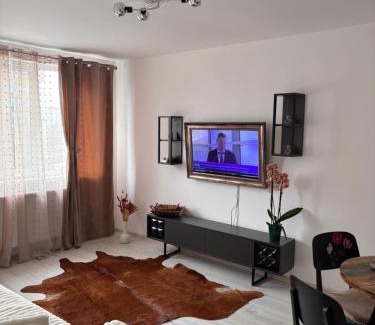 Bacau Apartment | City Comfort Apartment