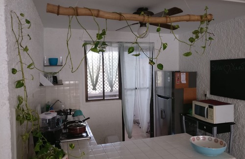 Downtown Cancun Apartment | Clean spacious apartment w/pool. Central Cancun 5 mins from beach