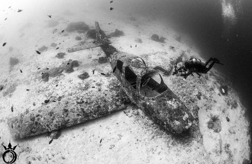 Basdiot Resort | Club Hari Dive Resort