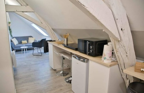 Joigny Apartment | Coeur Joigny "nature zen 3"